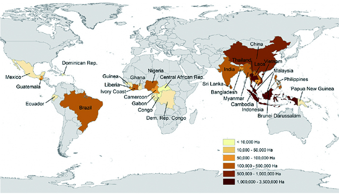 Why You Should Be Wary of Brazil's Final Anti-dumping Ruling Involving Malaysia, Thailand, and China Why You Should Be Wary of Brazil's Final Anti-dumping Ruling Involving Malaysia, Thailand, and China